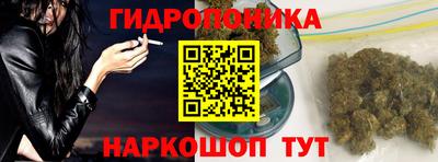 хмурый Тара