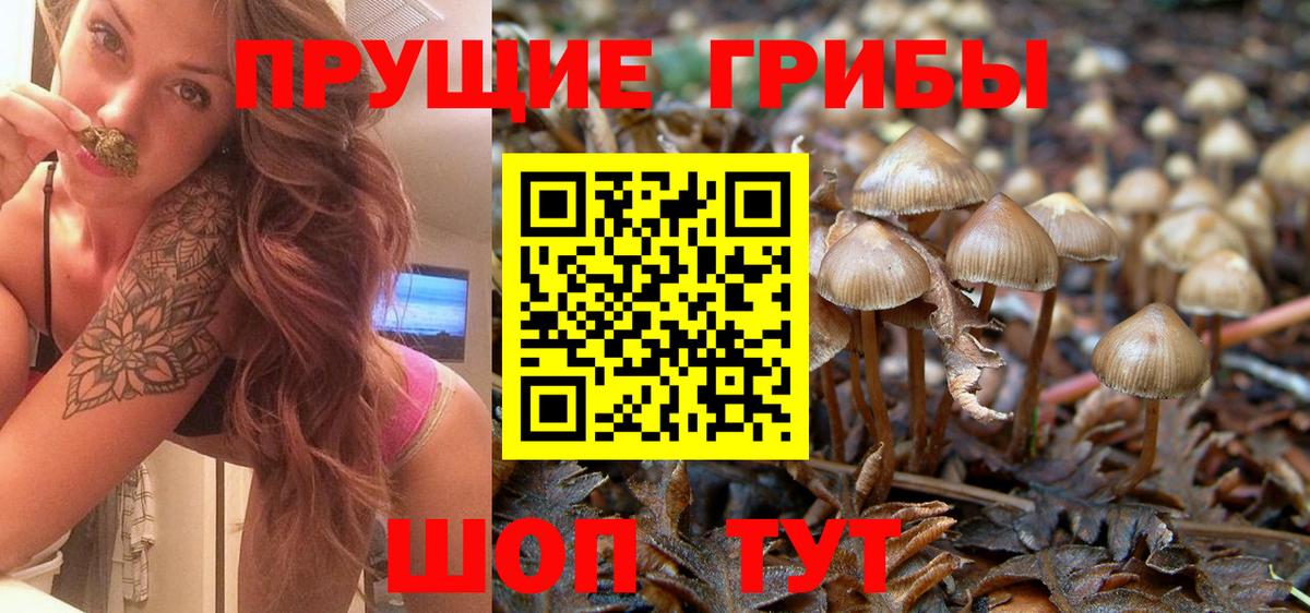 Галлюциногенные грибы прущие грибы  Вход с VPN  Новоалтайск 