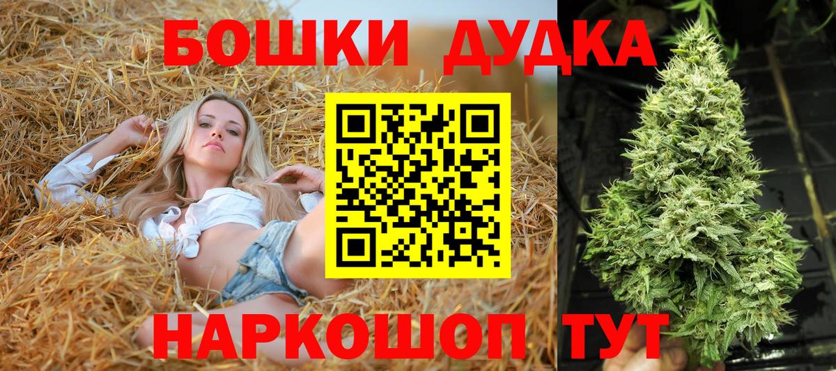 Шишки марихуана марихуана Новоалтайск